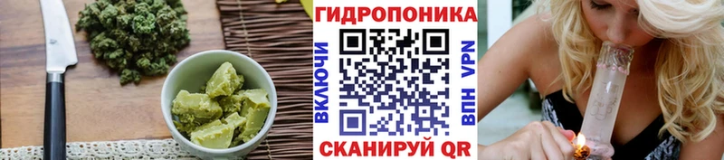 Cannafood конопля Солнечногорск
